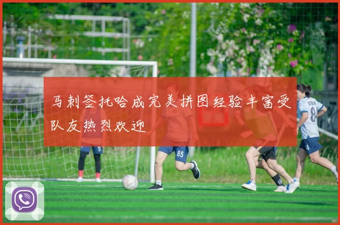 马刺签托哈成完美拼图经验丰富受队友热烈欢迎